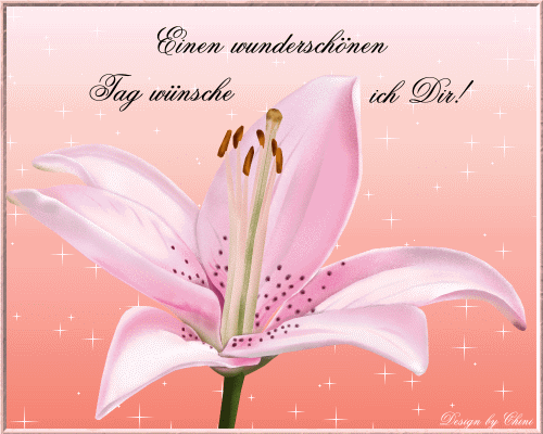 ext. Bild
