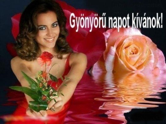 Kép