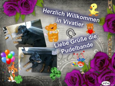 Das Bild wurde m&ouml;glicherweise verkleinert. &Ouml;ffne es um es in voller Gr&ouml;&szlig;e anzuzeigen.
