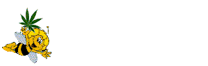 biene biene