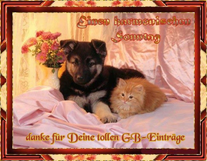 An den Beitrag angehängtes Bild: http://img3.dreamies.de/img/337/b/ok1wot3s6b3.jpg