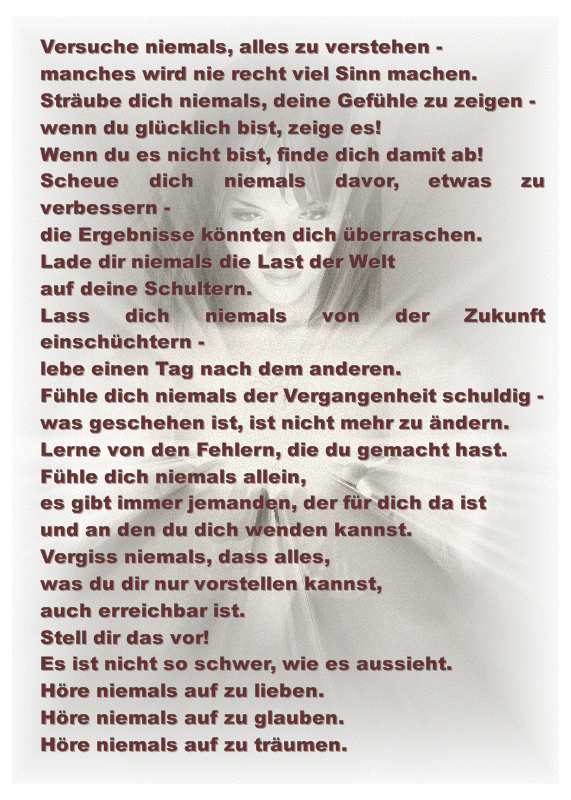 ext. Bild