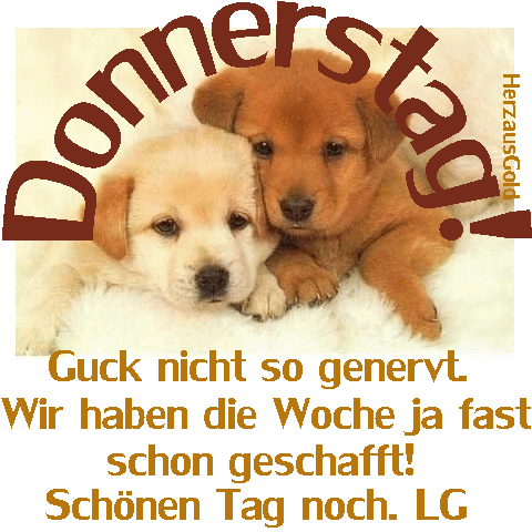 ext. Bild