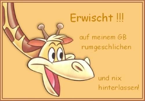 ext. Bild