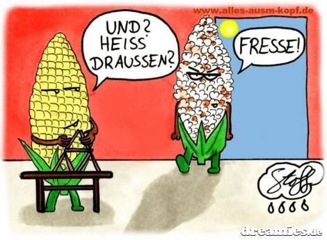 [verlinkte Grafik wurde nicht gefunden]