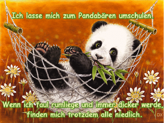 24h Service Von Trouble Teil 2 Seite 31 24h Service Gamingfans