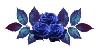  Learn English tr13.gif